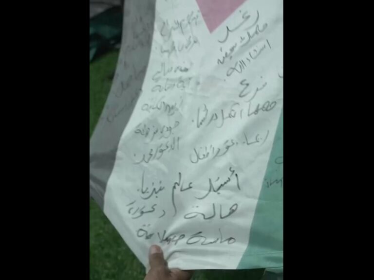 পর্বতারোহীদের কণ্ঠে ফিলিস্তিনি শিশুদের বার্তা, এভারেস্ট জয়!