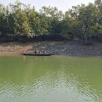 8 foresters kidnapped again in Sundarbans, ransom demanded