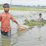 Even if the sun rose, the fear did not end in Howre, worry about the crop