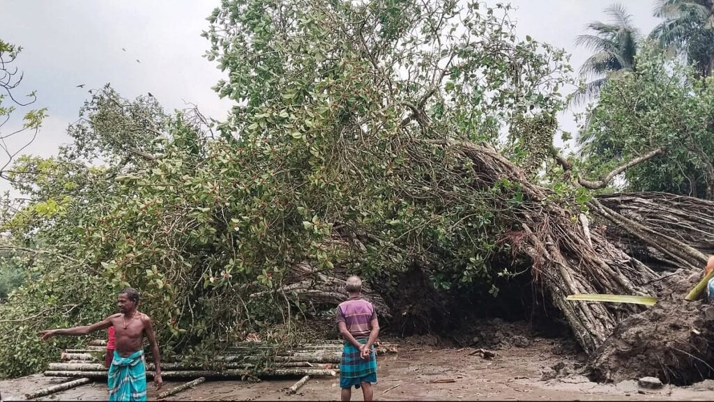 Michael Madhusudan Dutt’s memorial banyan tree uprooted on Kapotaksh bank