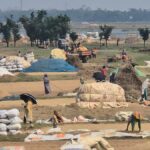 Howre has come back to life in the sun of relief, busyness has increased in the desert