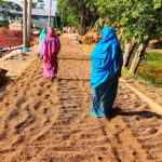 The smell of wet-rotting paddy wafted through the air of Hakaluki Hawarpar