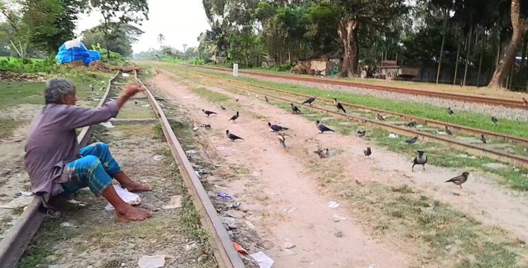 Freedom Fighters Unique Love for Birds