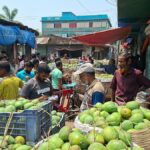 At the beginning of the season in Satkhira, farmers are worried about the mango saleb market, syndicate
