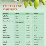 When are the varieties of Rajshahi and Naogaon mangoes coming to the market?