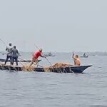 A group of people are cutting and taking away the sunken paddy of other people’s land in Howar of Sunamganj