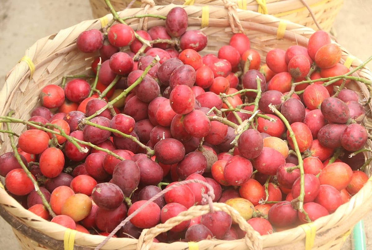 From the forest to the market, why is there so much talk about the fruit?