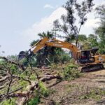 Destruction of forest while renovating embankment in Patuakhali, poubo and forest department face off
