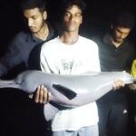 Endangered Dolphin Caught by Angler in Bangladeshs Barguna