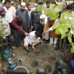 Dhaka North City has started afforestation in the capital by the ‘Miyawaki’ method