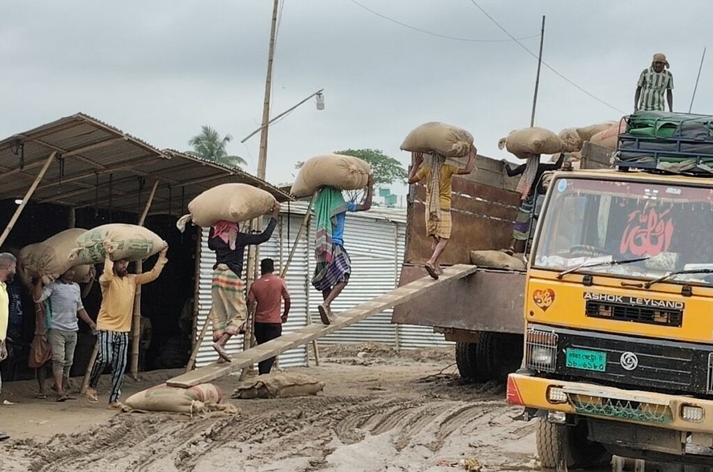 Farmers of Haor are in trouble with discolored rice, they are not getting the price