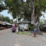 Centuries old Chhatiantala hut under the shade of banyan trees on the banks of the river