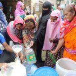 Dairy Farm Thrives with 1,500 Liters Daily, Customers Queue for Fresh Milk