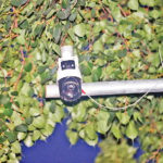 AI magic on the streets of Dhaka, will sit on all signals