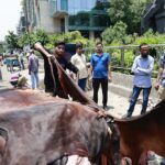 Dhaka City Corporations Accelerate Waste Removal Efforts
