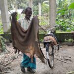 Gaibandha Hide Traders Face Financial Crisis Amid Sluggish Wholesale Demand