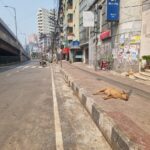 Dhaka wet markets remain largely deserted following Eid holidays