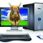 Online livestock markets shift focus to digital promotion and direct sales