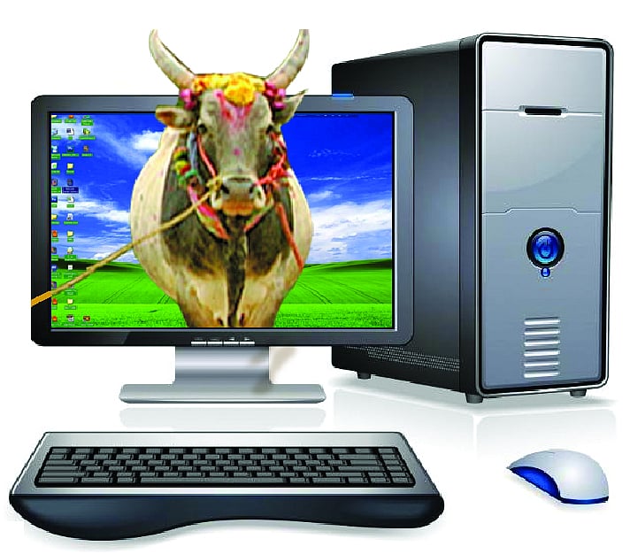 Online livestock markets shift focus to digital promotion and direct sales