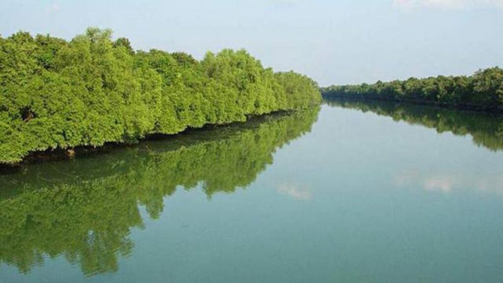 21 fishermen rescued from bandits in separate operation in Sundarbans, weapons seized