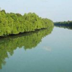 21 fishermen rescued from bandits in separate operation in Sundarbans, weapons seized
