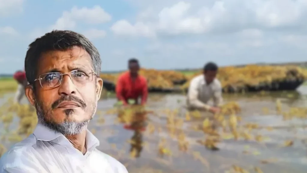হাওড়ের ক্ষতিগ্রস্ত কৃষক তালিকা নিয়ে “প্রধানমন্ত্রী ক্ষুব্ধ”—বাবরের দাবি, নতুন করে যাচাইয়ের নির্দেশ