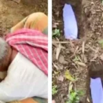 দীর্ঘ ১০ বছরের অপেক্ষার পর একসঙ্গে ৭ সন্তানের জন্ম, শেষ পর্যন্ত কাউকেই বাঁচানো গেল না