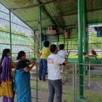 Safari Park sees surge in visitors on third day of Eid