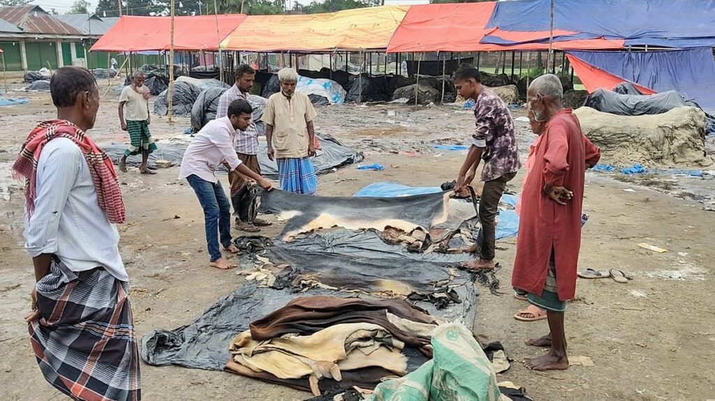 Seasonal traders face mounting losses as hide wholesalers remain absent from markets