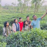 Sreemangal sees modest tourist turnout during Eid holidays amid nature focus