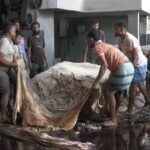 Savar Tannery Estate Processes 500,000 Hides Within 29 Hours