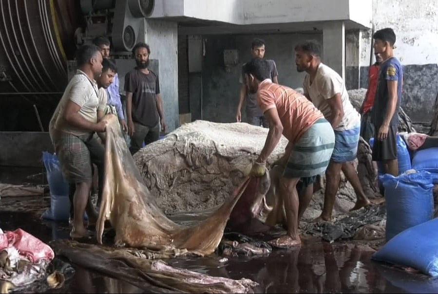 Savar Tannery Estate Processes 500,000 Hides Within 29 Hours