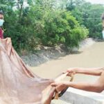 Feni Traders Dump Over One Hundred Hides Into River Following Market Slump