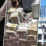 কোহিস্তান আর্থিক কেলেঙ্কারি: কায়সার ইকবালের সহযোগী নোমানকে গ্রেপ্তার করেছে এনএবি