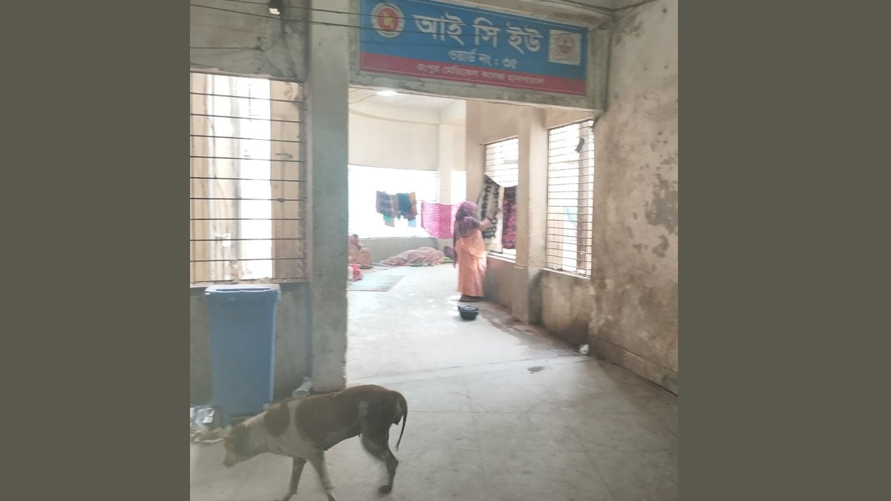 রংপুর মেডিকেল হাসপাতালের আইসিইউতে কুকুরের অবাধ বিচরণ ও চরম অস্বাস্থ্যকর পরিবেশ
