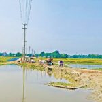 সেতুর অভাবে কুষ্টিয়ার দুর্গম চরে ৫৪ বছর ধরে অবহেলিত লক্ষাধিক মানুষ