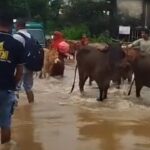 সুনামগঞ্জে পাহাড়ি ঢল ও বৃষ্টিতে নদ-নদীর পানি বৃদ্ধি নিম্নাঞ্চল প্লাবনের আশঙ্কা
