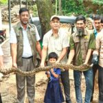 রাঙামাটিতে উদ্ধার হওয়া অজগর কাপ্তাই জাতীয় উদ্যানে অবমুক্ত