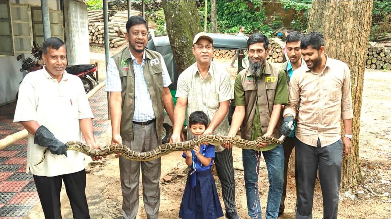 রাঙামাটিতে উদ্ধার হওয়া অজগর কাপ্তাই জাতীয় উদ্যানে অবমুক্ত