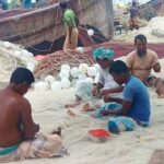 ৫৮ দিনের নিষেধাজ্ঞা শেষে মধ্যরাত থেকে সাগরে ইলিশ শিকারে নামছেন পটুয়াখালীর জেলেরা