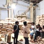 শেরপুরে ৩৩ টন সরকারি খাদ্যবান্ধব চাল জব্দ, আটক এক