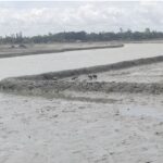 কুতুবদিয়ায় চার খাল খননে ধীরগতি, ব্যাহত হচ্ছে পাঁচ হাজার একর জমির লবণ চাষ