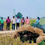 সিংড়ায় দুই লাখ টাকার নিষিদ্ধ চায়না দুয়ারি জাল জব্দ ও ধ্বংস
