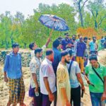শ্যামনগরে বাঁধ সংস্কারের নামে চর দখল ও গাছ নিধনের অভিযোগ উঠেছে ঠিকাদারি প্রতিষ্ঠানের বিরুদ্ধে