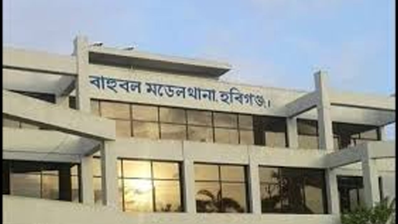 হবিগঞ্জের বাহুবলে বিদ্যুৎস্পৃষ্ট হয়ে পিতা ও পুত্রের মর্মান্তিক মৃত্যু