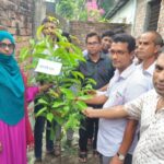 পিরোজপুরের জিয়ানগরে ওয়ান চাইল্ড ওয়ান ট্রি কর্মসূচির আওতায় বৃক্ষরোপণ