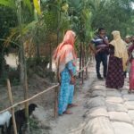পঞ্চগড়ে দুইশ পরিবারের চলাচলের সড়ক দখল করে বেড়া ও গাছ রোপণের অভিযোগ