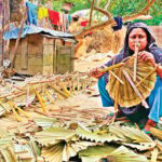 যশোরের শিওড়দাহ গ্রাম এখন তালপাতার হাতপাখার কারখানায় রূপান্তর