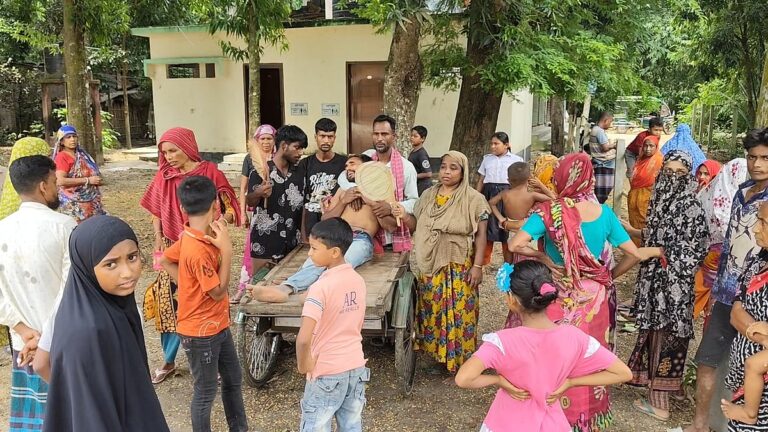 Two brothers drown in pond in Narail municipality