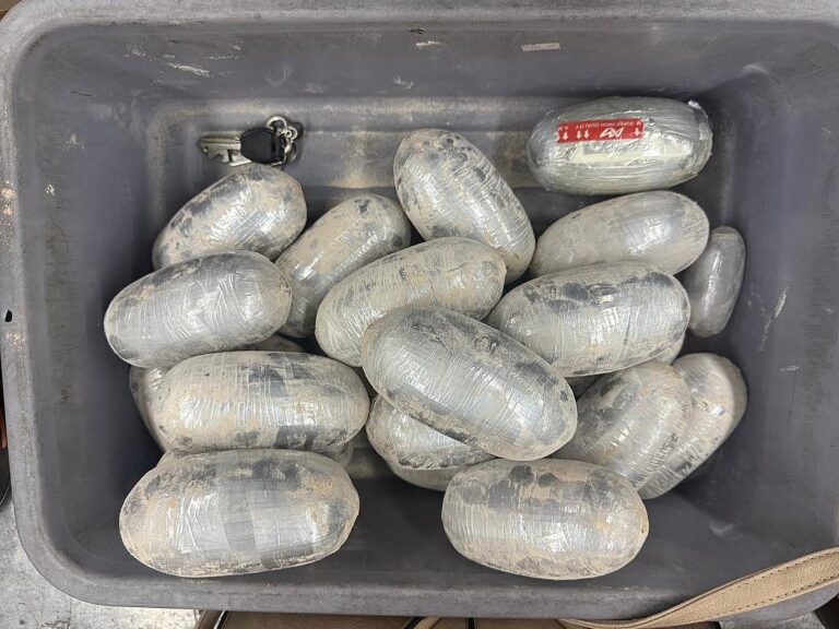 UN Report Identifies Bangladesh as Emerging Transit Hub for Global Cocaine Syndicates